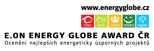Energy globe 2013 logo